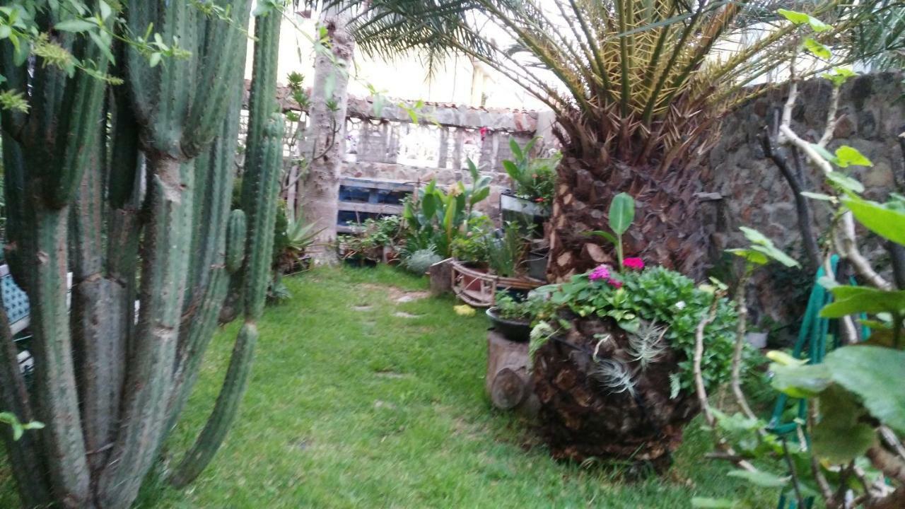 Casa El Drago-Tafira Baja Apartamento Las Palmas de Gran Canárias Exterior foto
