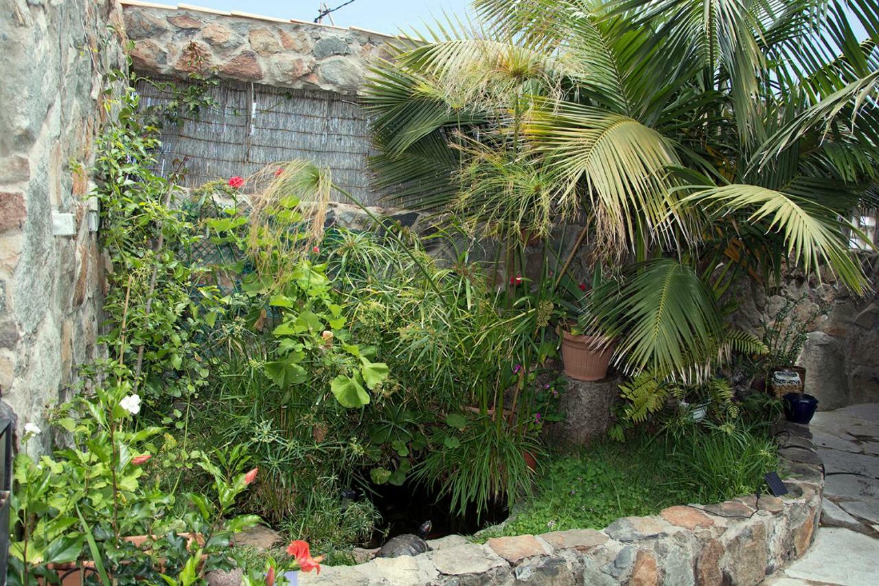 Casa El Drago-Tafira Baja Apartamento Las Palmas de Gran Canárias Exterior foto