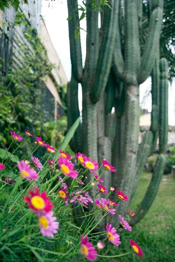 Casa El Drago-Tafira Baja Apartamento Las Palmas de Gran Canárias Exterior foto
