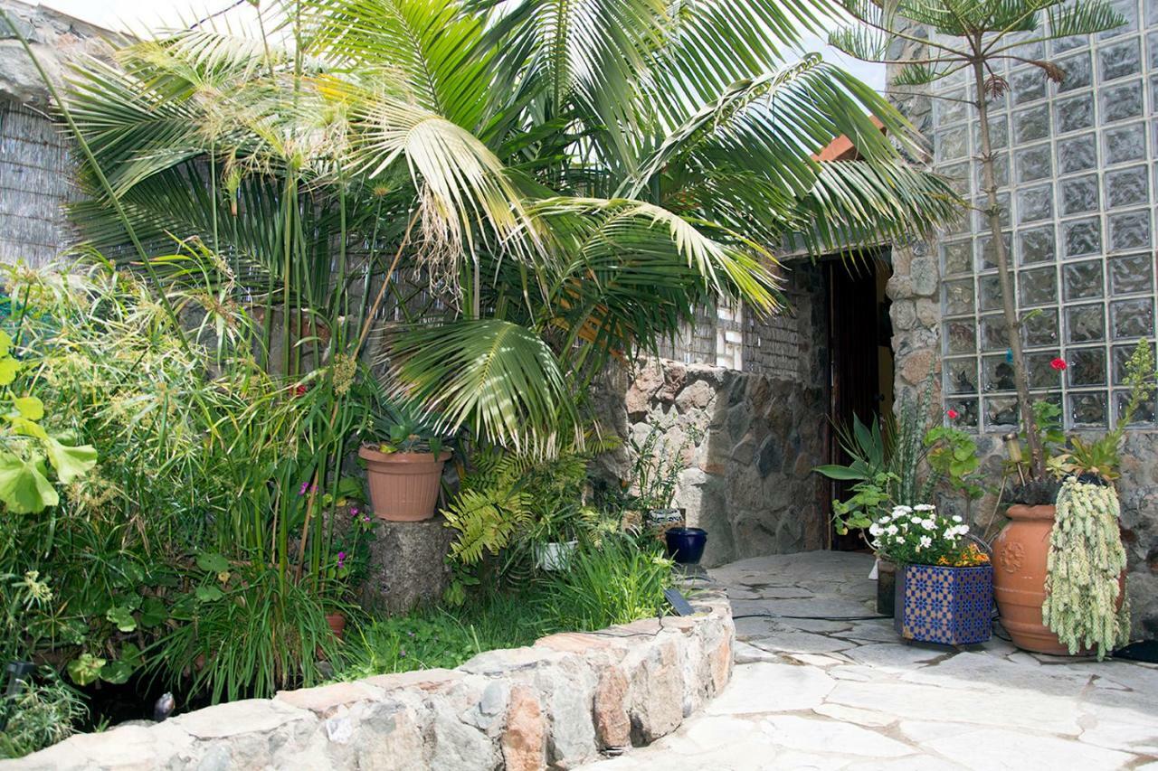 Casa El Drago-Tafira Baja Apartamento Las Palmas de Gran Canárias Exterior foto